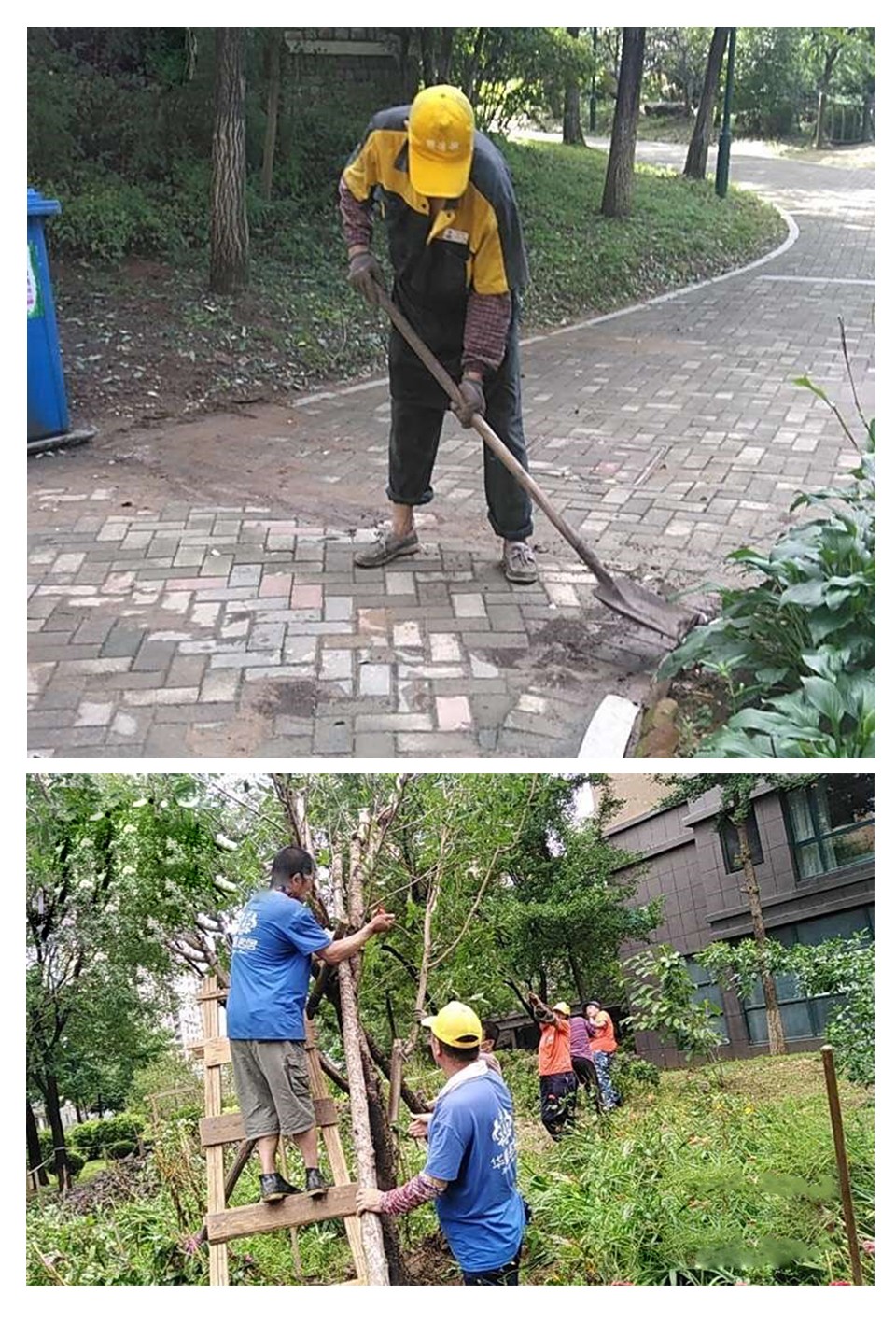 华盛集团嘉豪物业抗击台风工作简报 